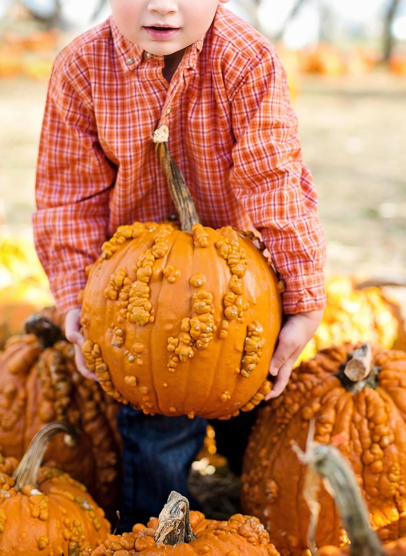 Pumpkins